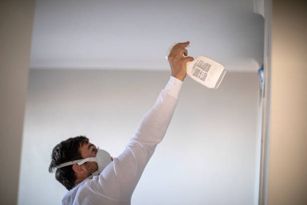 Best Mold Remediation for Schools in Nash, TX