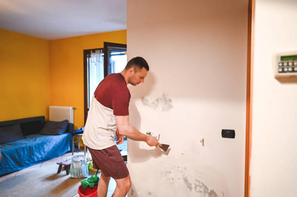 Best Kitchen Mold Remediation in Nash, TX